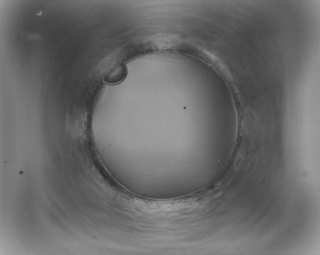 X0000067350018200604071437