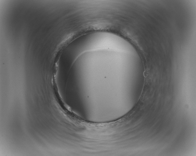 X0000067350019200604071437