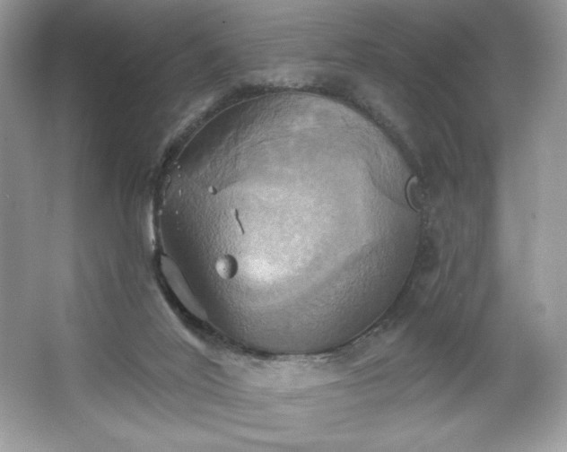 X0000067350020200604071437