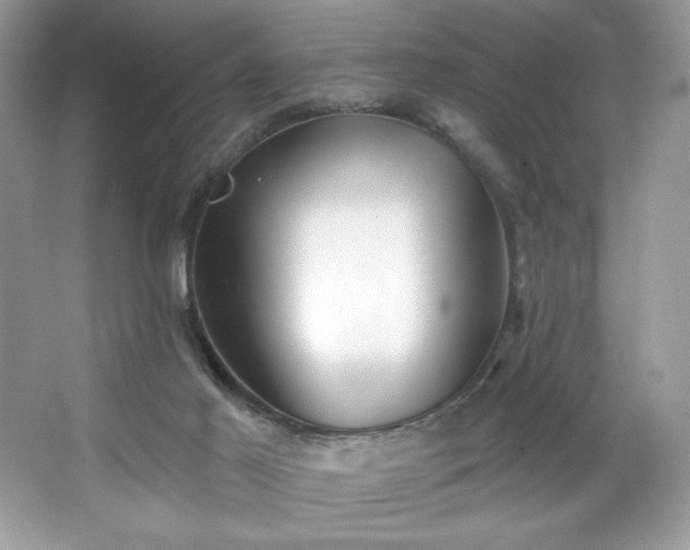 X0000067350021200604071437