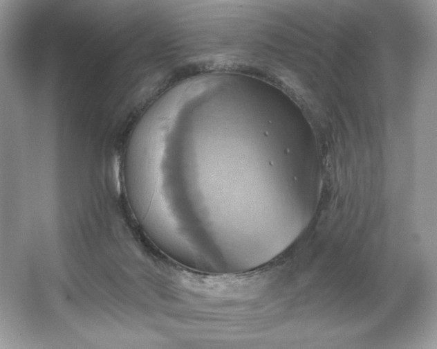 X0000067350022200604071437