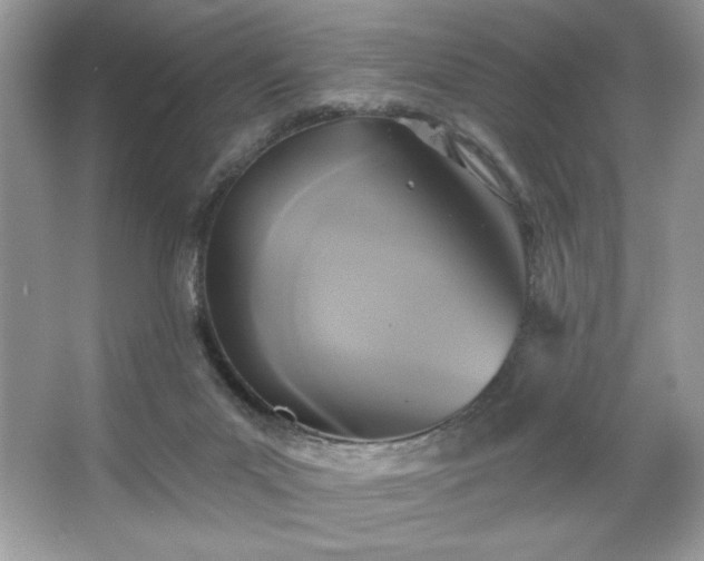 X0000067350023200604071437