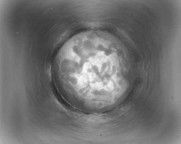 X0000067350024200604071437