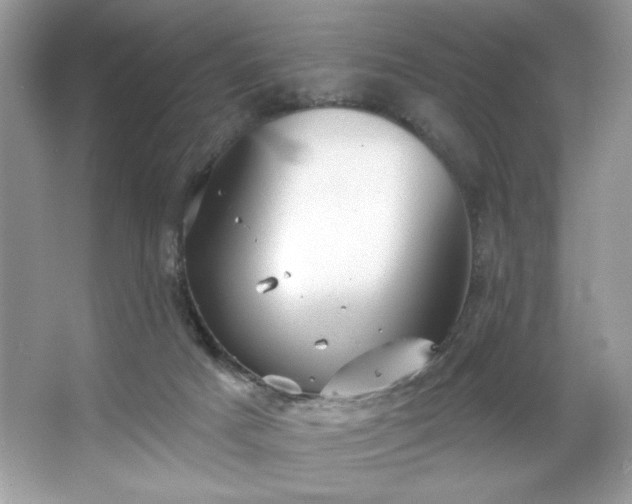 X0000067350025200604071437