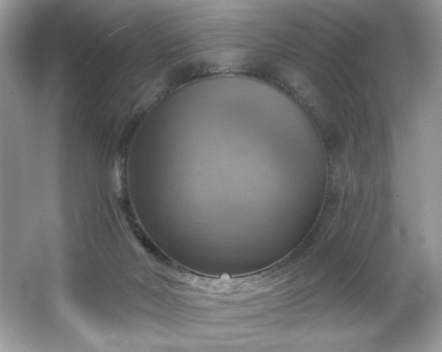 X0000067350026200604071437