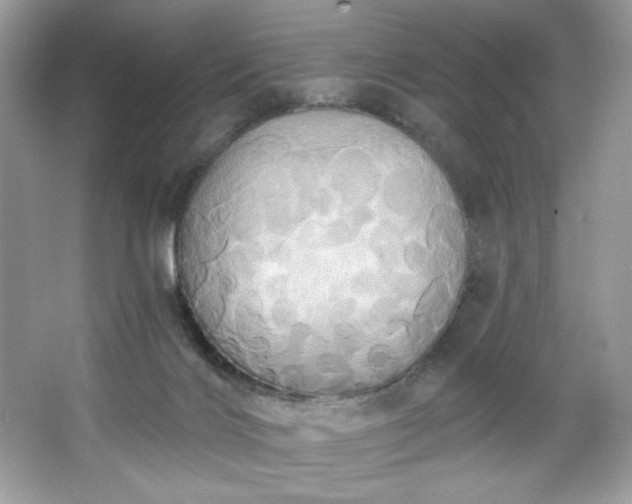 X0000067350028200604071437