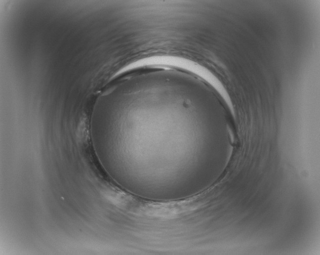 X0000067350029200604071437