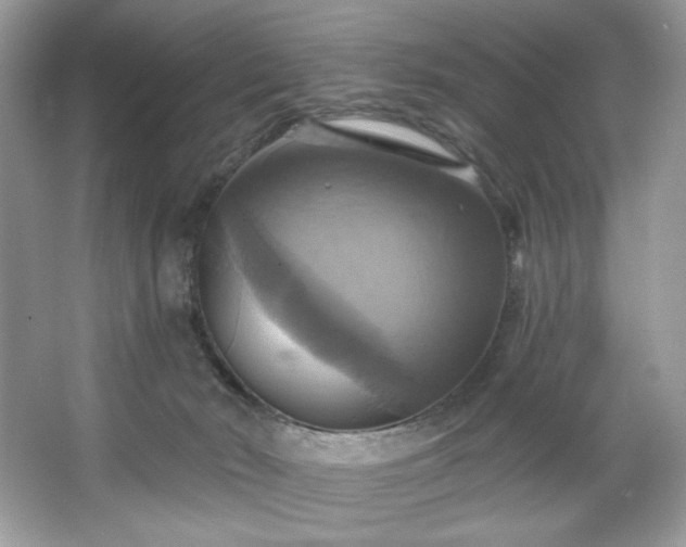 X0000067350030200604071437