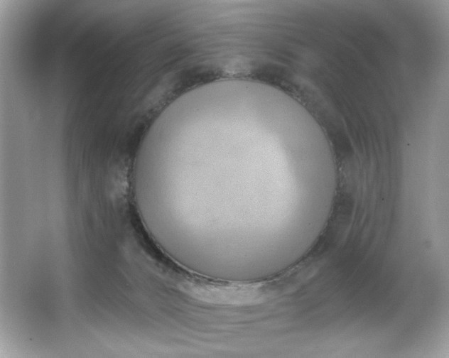 X0000067350032200604071437