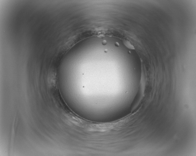 X0000067350033200604071437