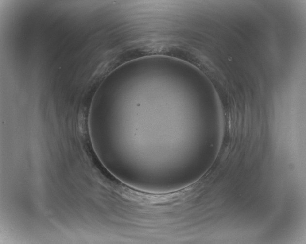 X0000067350035200604071437