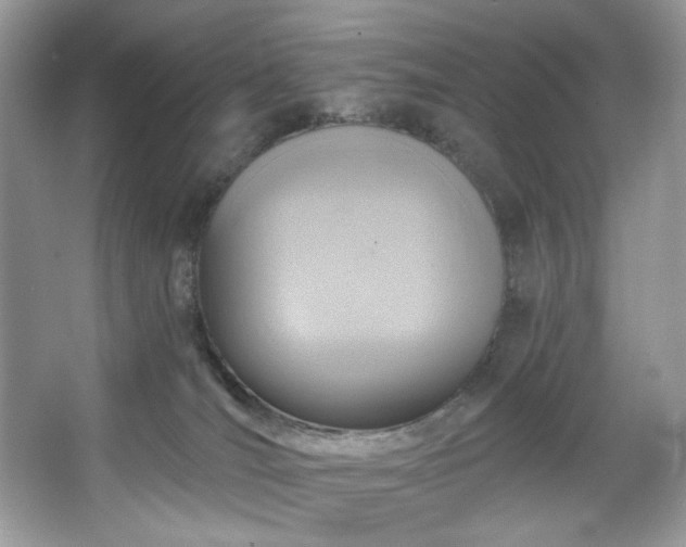 X0000067350036200604071437