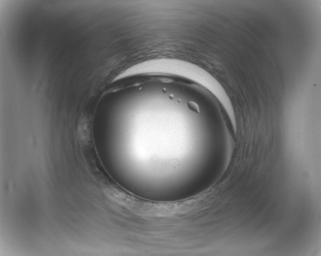 X0000067350037200604071437