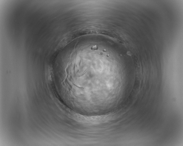 X0000067350038200604071437