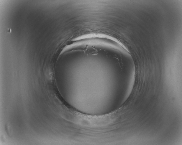 X0000067350039200604071437