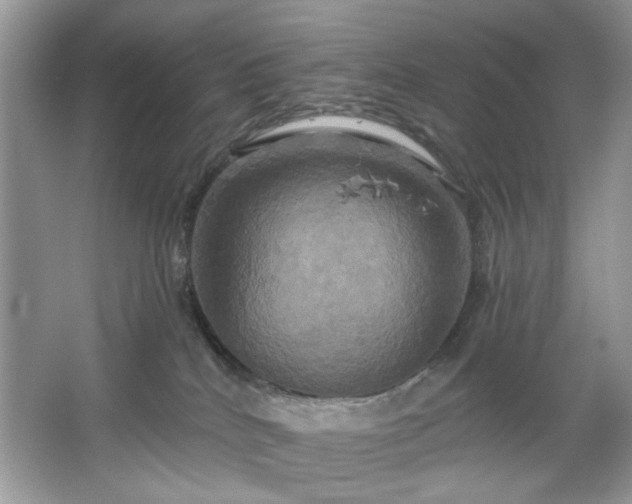 X0000067350040200604071437