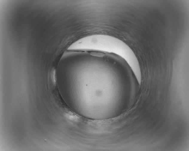 X0000067350041200604071437