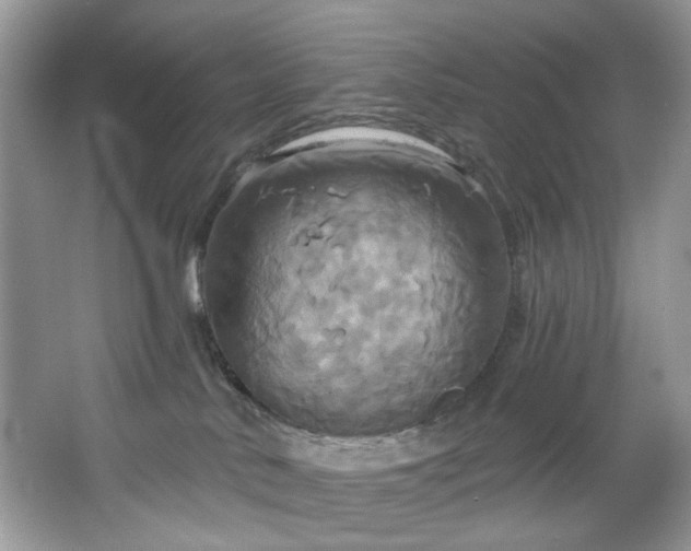 X0000067350042200604071437