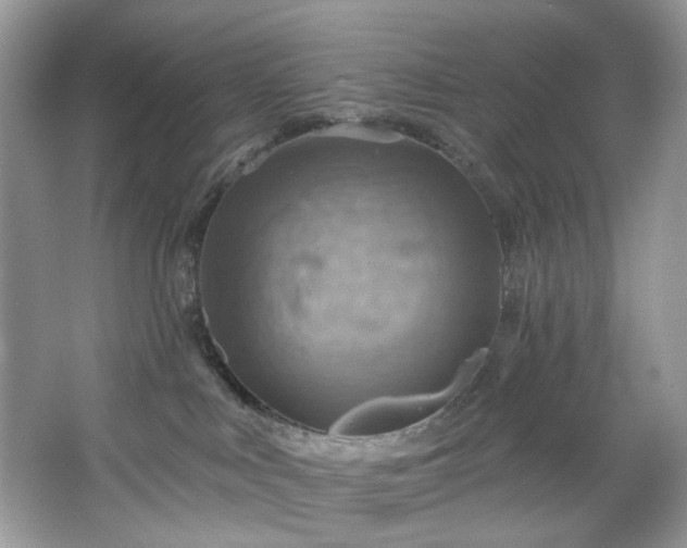 X0000067350043200604071437