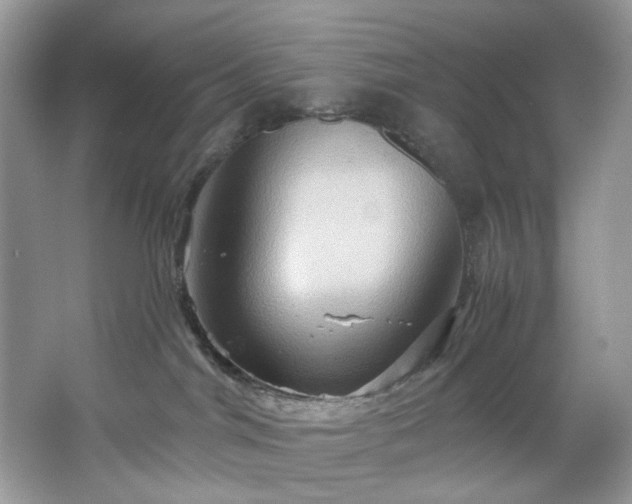 X0000067350044200604071437