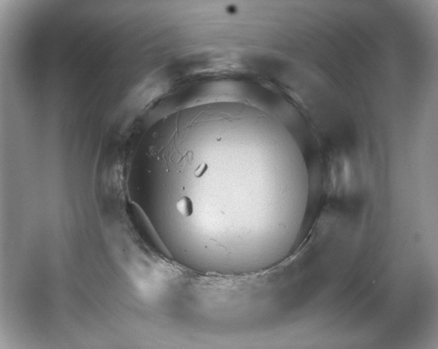 X0000067350045200604071437