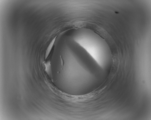 X0000067350046200604071437