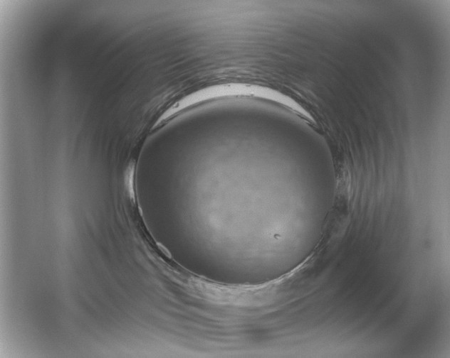 X0000067350047200604071437