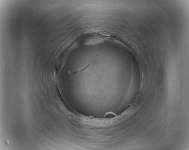 X0000067350048200604071437