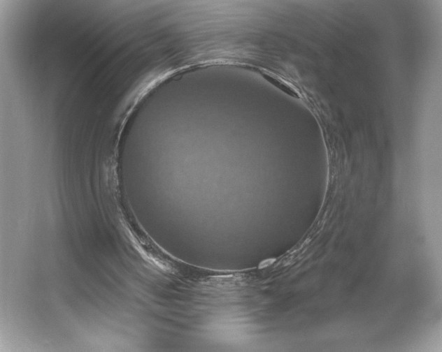 X0000067350050200604071436