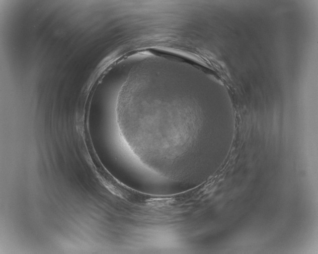 X0000067350051200604071436