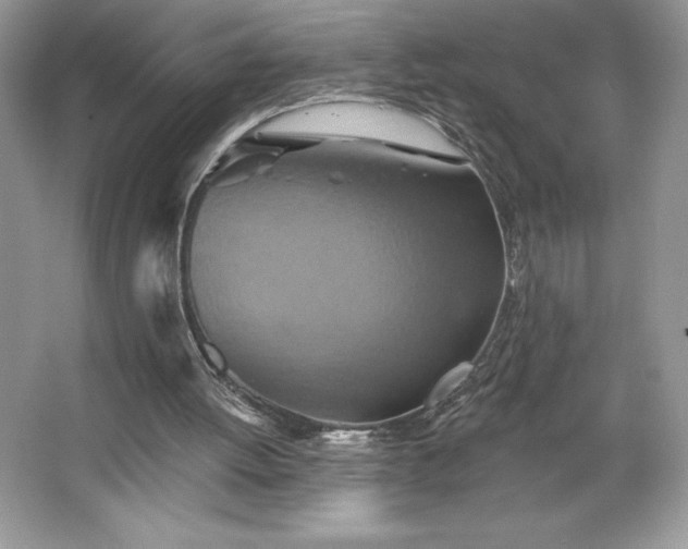 X0000067350052200604071436