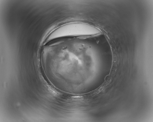 X0000067350053200604071436