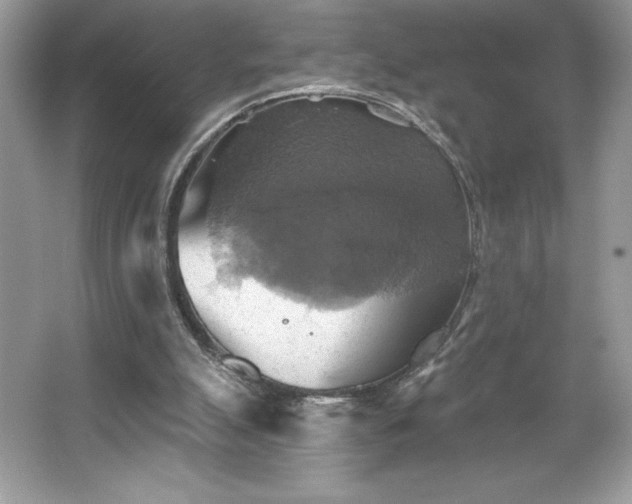 X0000067350055200604071436