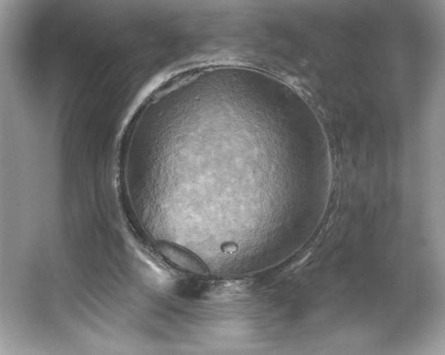 X0000067350056200604071436