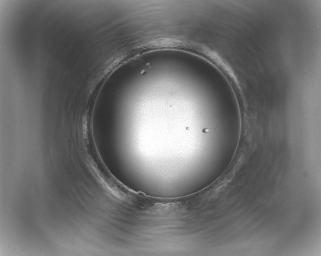 X0000067350057200604071436