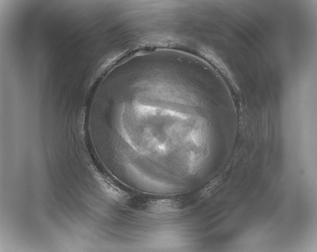 X0000067350058200604071436