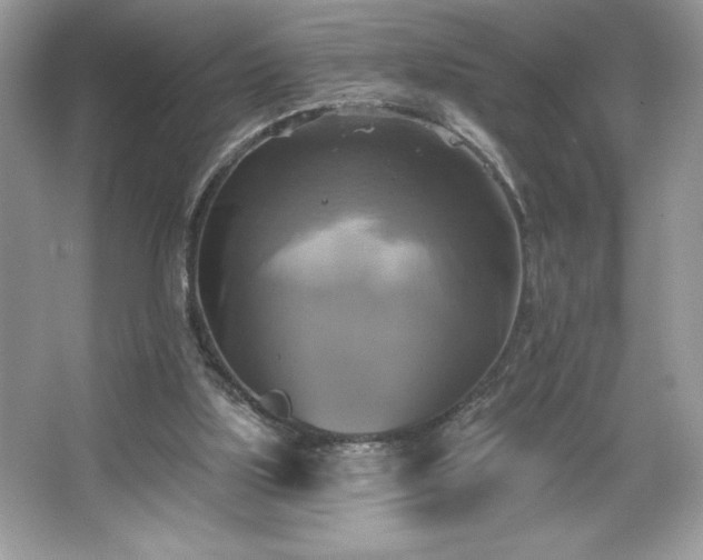 X0000067350059200604071436