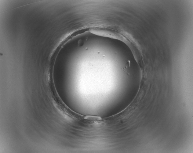 X0000067350060200604071436