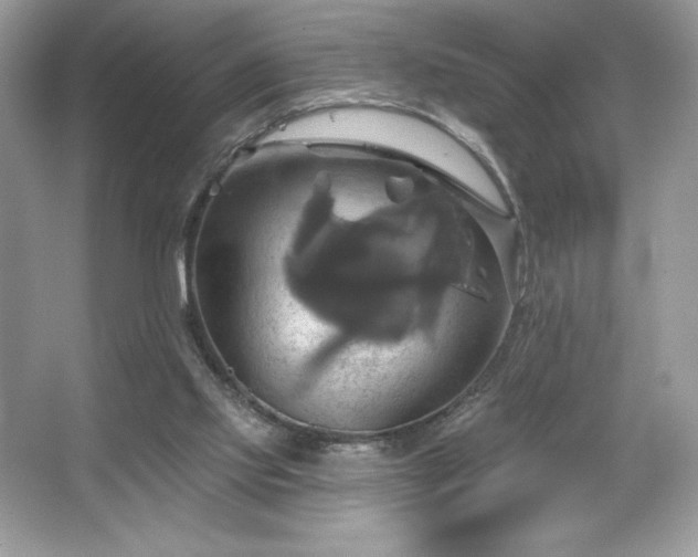 X0000067350061200604071436