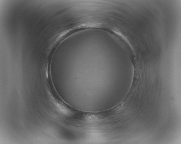 X0000067350062200604071436