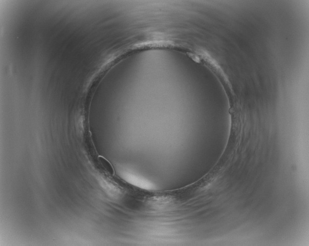 X0000067350063200604071436