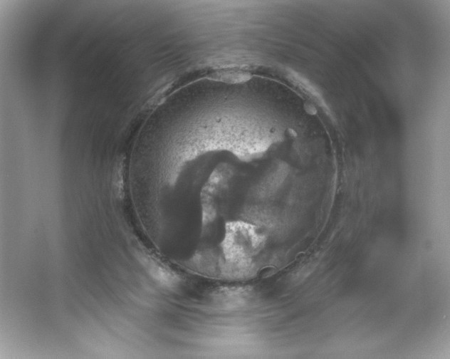 X0000067350065200604071436