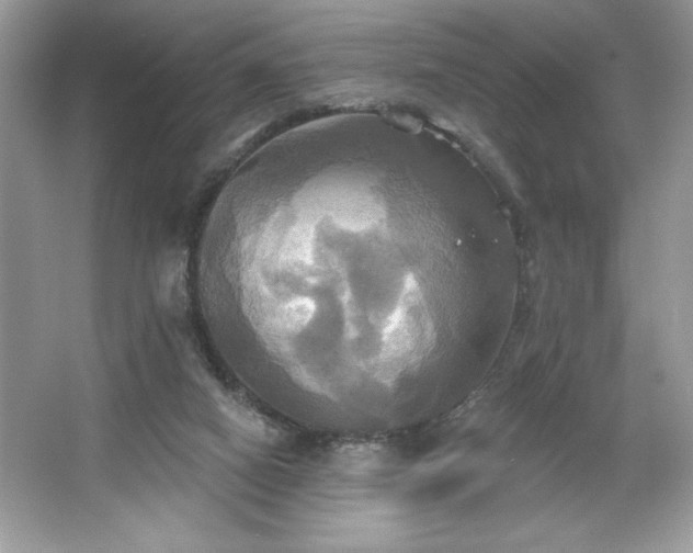 X0000067350066200604071436