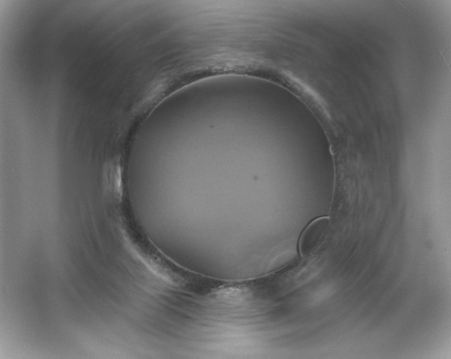 X0000067350067200604071436