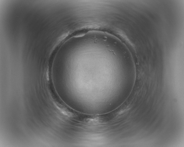 X0000067350068200604071436