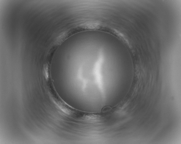 X0000067350069200604071436