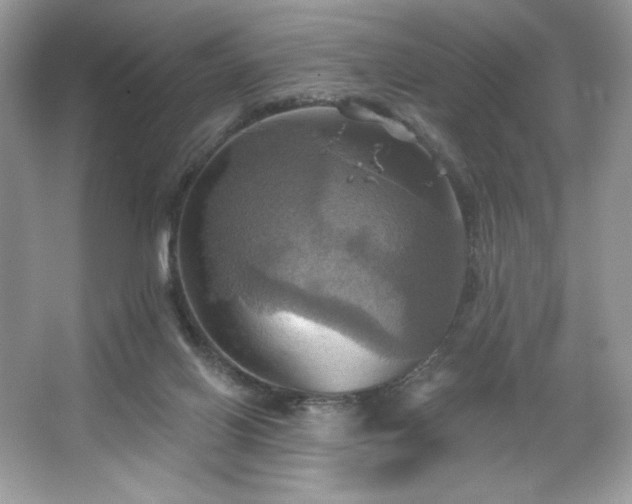 X0000067350070200604071436