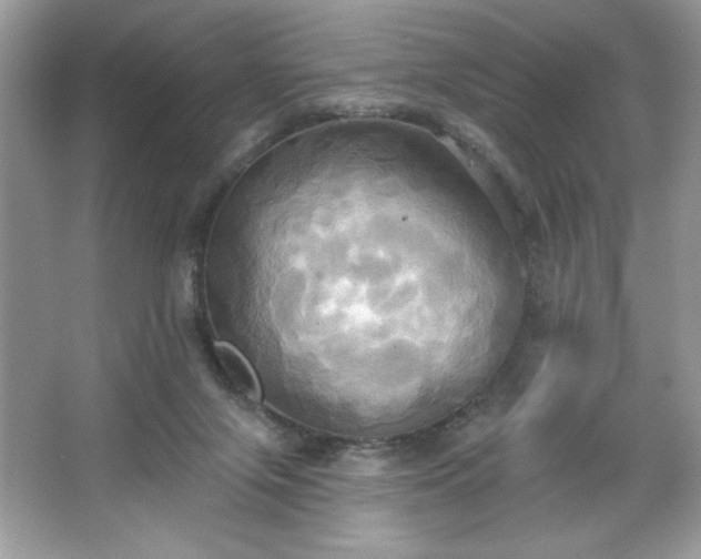 X0000067350071200604071436