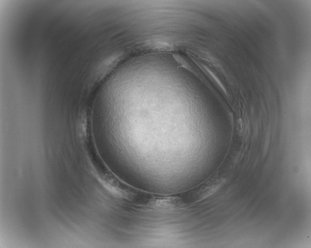 X0000067350072200604071436