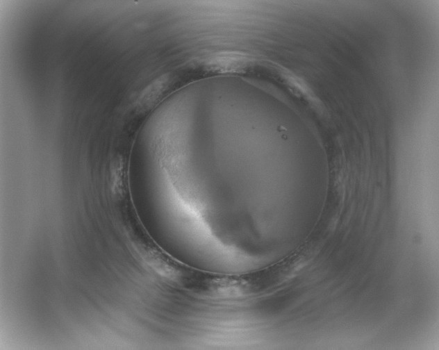 X0000067350073200604071436